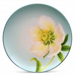Noritake Colorwave Spruce Accent/Luncheon Plate-Floral, 8 1/4″