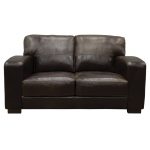 Casual Contemporary Brown Leather Loveseat – Aspen