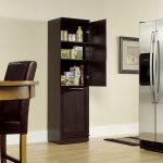 Home Plus Dakota Oak Storage Cabinet