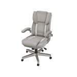 Taupe Gray Executive Office Chair