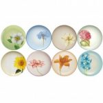 Noritake Colorwave Set of 8 Accent/Luncheon Plate-Floral, 8 1/4″