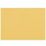Colorwave Mustard Placemat