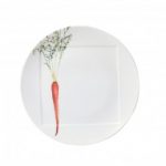 Noritake Kyoka Shunsai Dinner Plate 10 1/2″ – Carrot